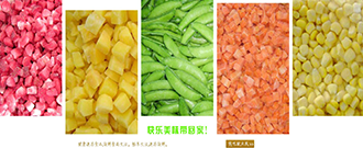 公司介紹